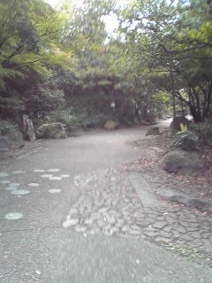 梅小路公園の