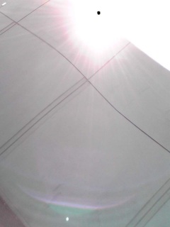�A���o�����X