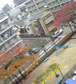 紅葉。