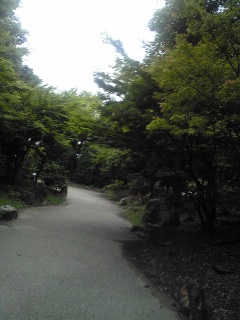 ウオーキング。