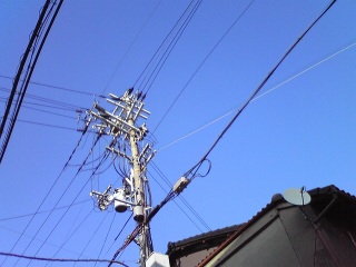 がんじがらめ。
