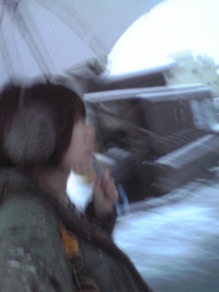 雪その二。