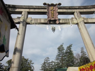 今年は