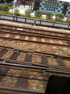 母とデート。