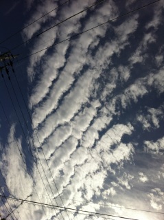 秋の雲。