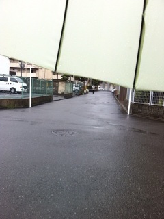 雨だよ。