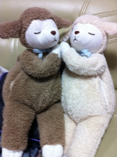 新入り