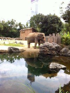 天王寺動物園