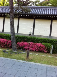 つらいなぁ