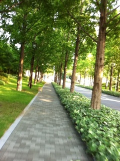 ががーん。