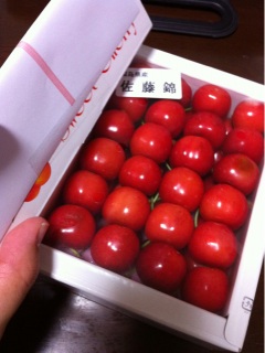 �y���������[