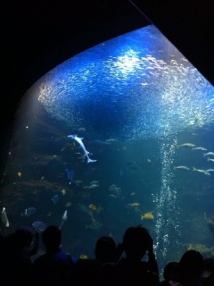 水族館