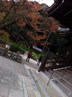 橘寺