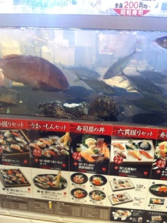 桂イオンの