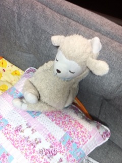 ほんのときどき