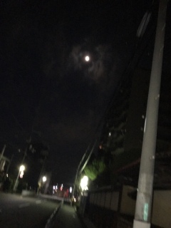 �^�钆�̎U��