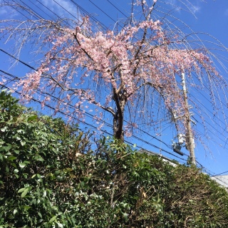 近所のイオンで
