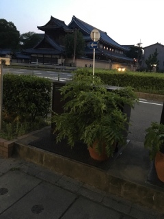 時々