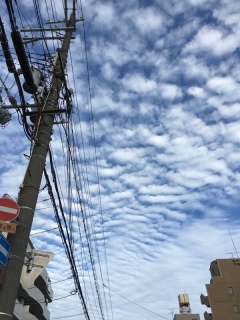 いい空だー