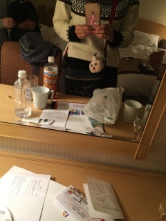 �����z�e���ł�����B