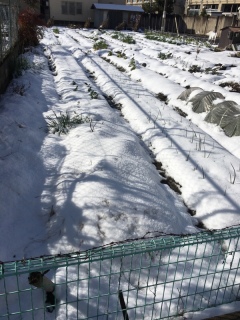 ��~�����ˁ[