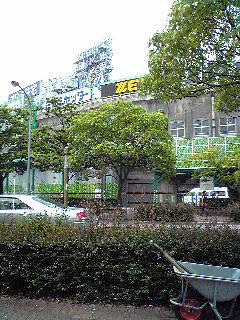 甲子園・・・