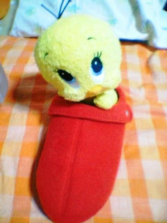 こんなことも・・