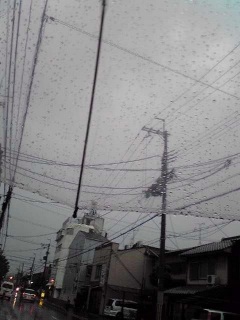 ビニール傘