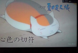 にゃんこ先生。