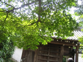 秋には