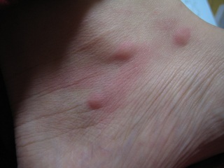 �H�����̕����݂܂���B