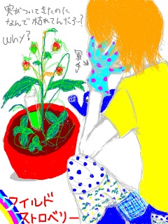我が家のワイルドストロベリー・・