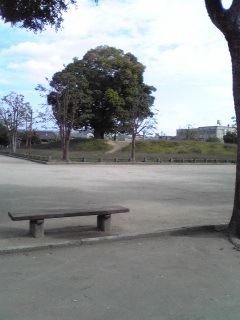 近所の公園。