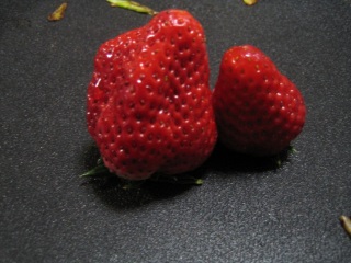 もらった。