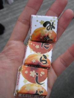 旅行編E