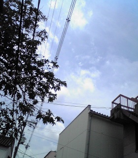 空が狭い。