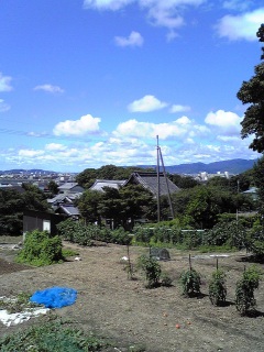 んふふ。